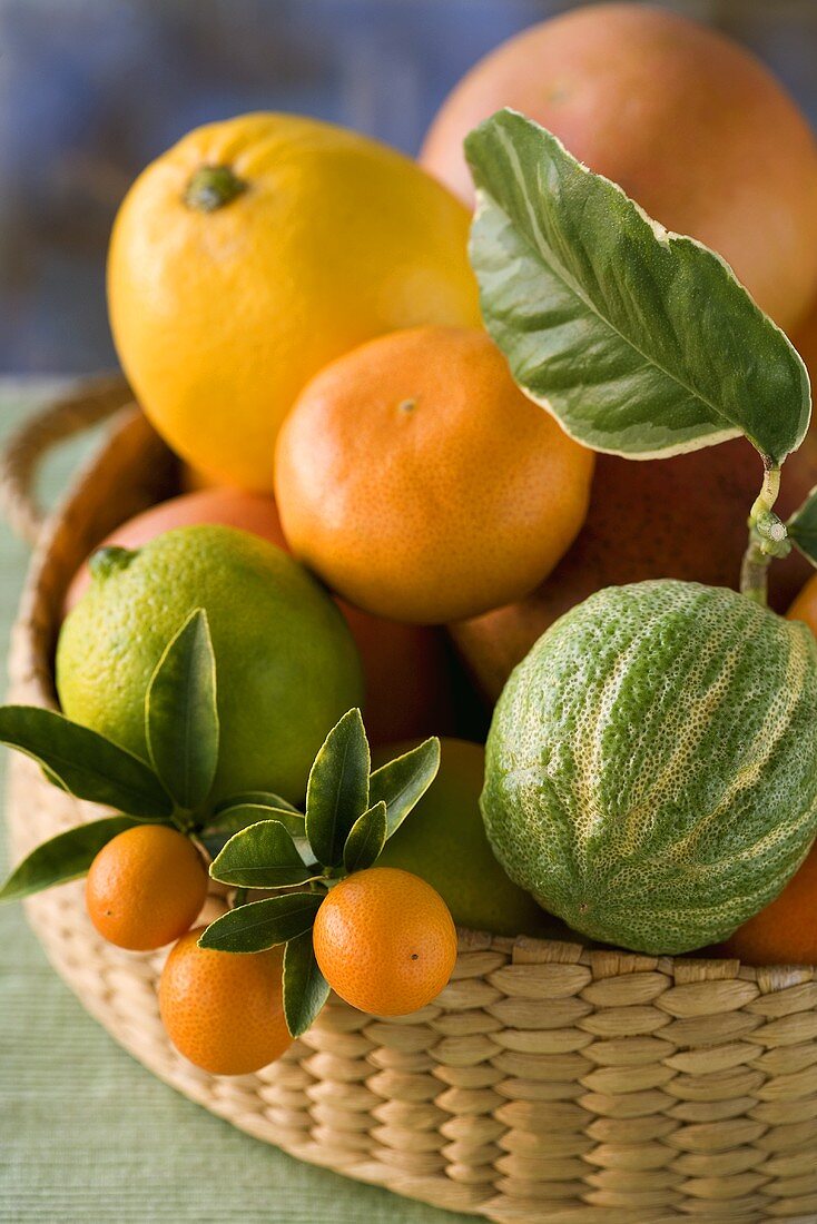 Basket of assorted citrus fruit