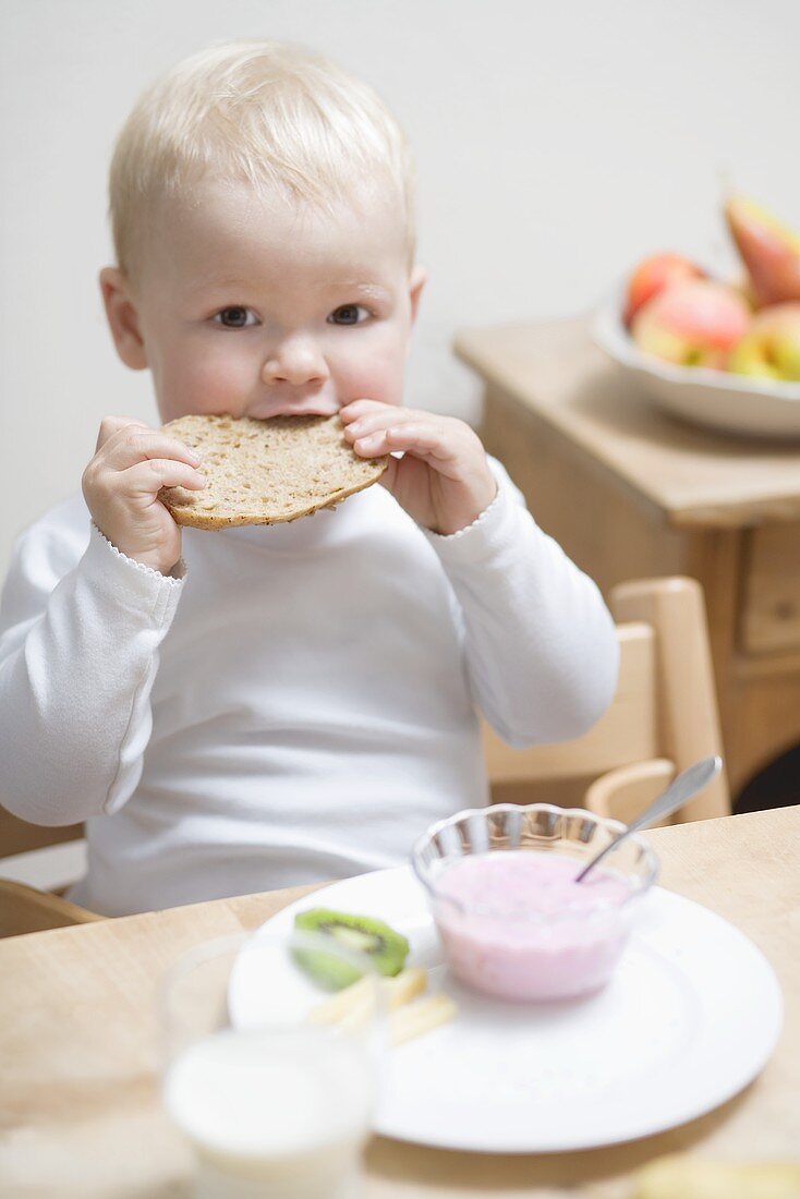 Small boy at breakfast with half a bread roll