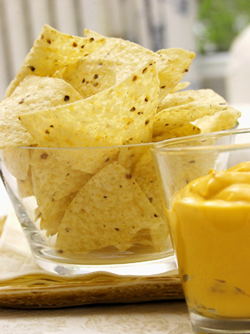 Tortilla Chips with Nacho Dip