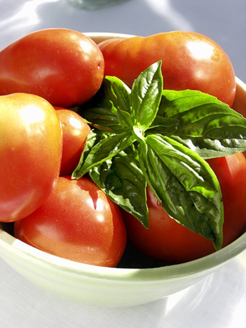 Tomaten mit Basilikum in weisser Schale