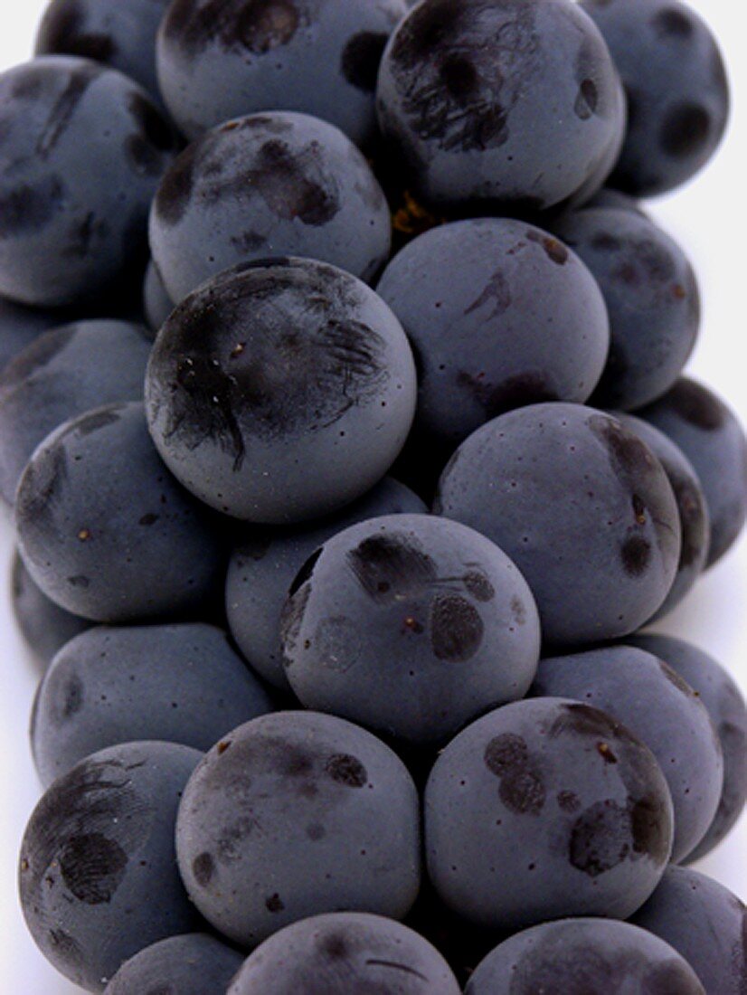 Purple Grapes