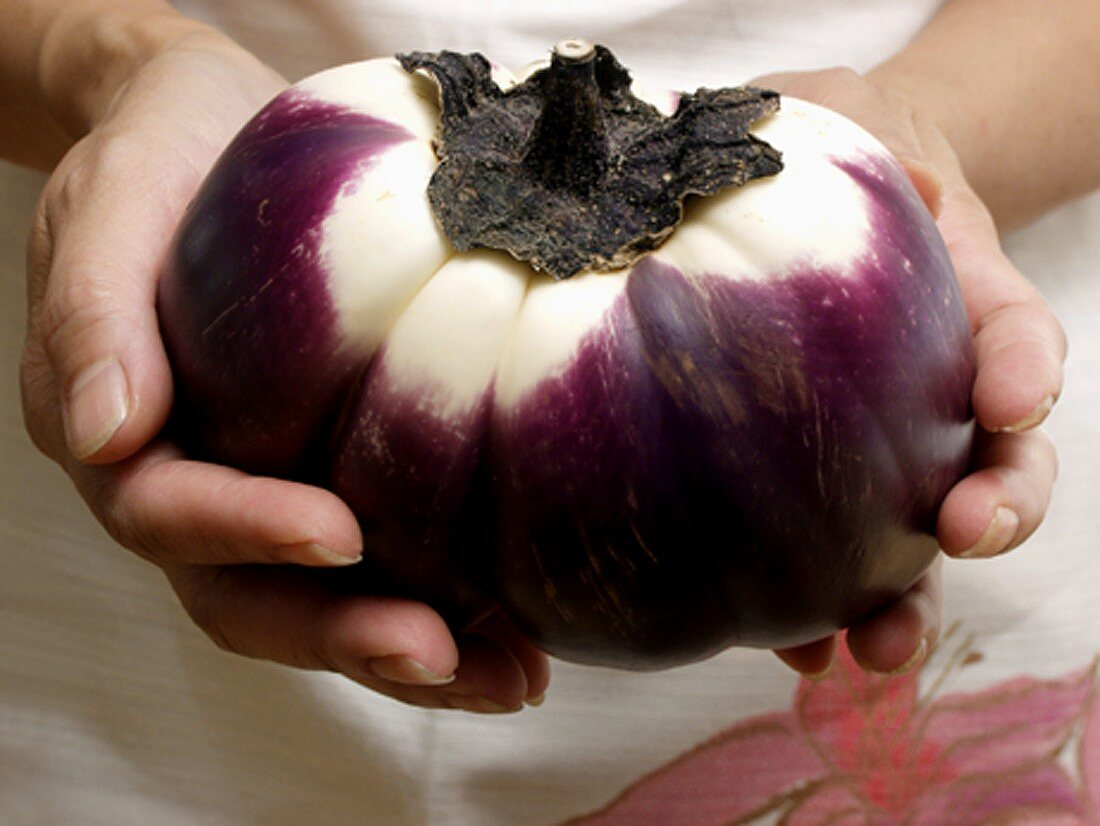 Holding an Eggplant