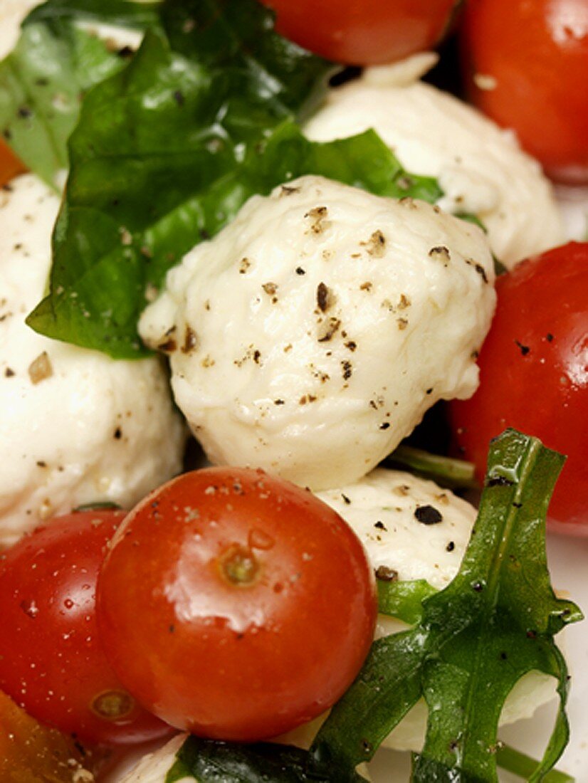 Tomaten mit Mozzarella und Basilikum (Ausschnitt)