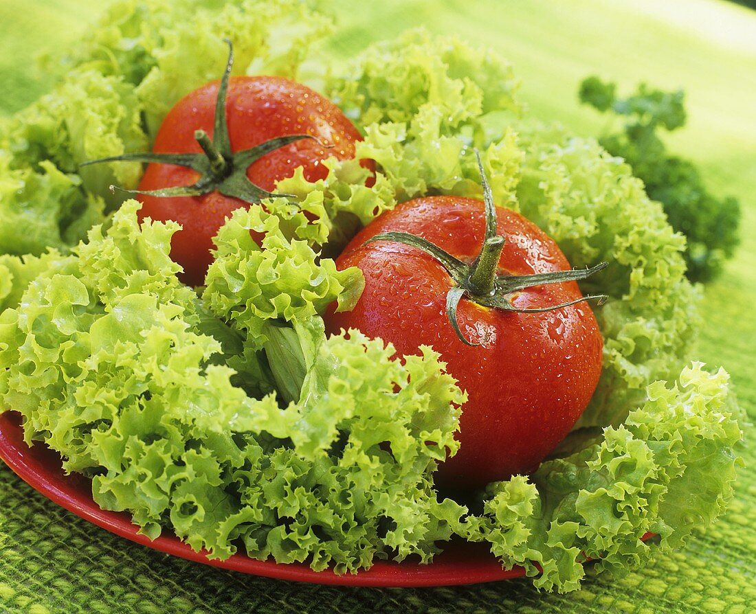 Salatzutaten: Lollo Biondo und Tomaten