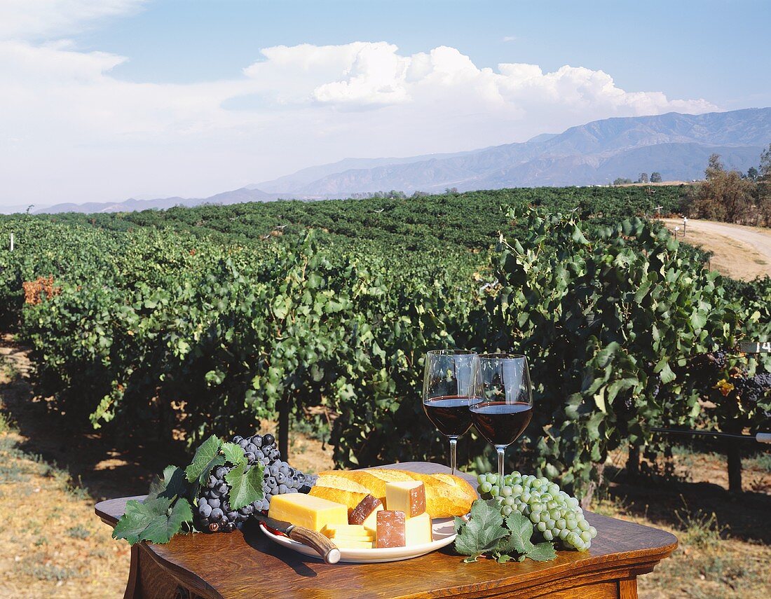 Käseplatte, Trauben, Rotwein auf einem Tisch im Weinbaugebiet