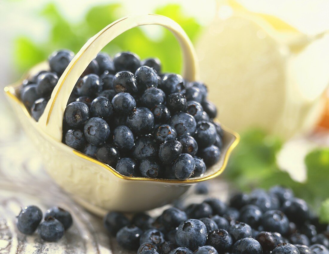 Heidelbeeren in und neben einem Porzellan-Körbchen