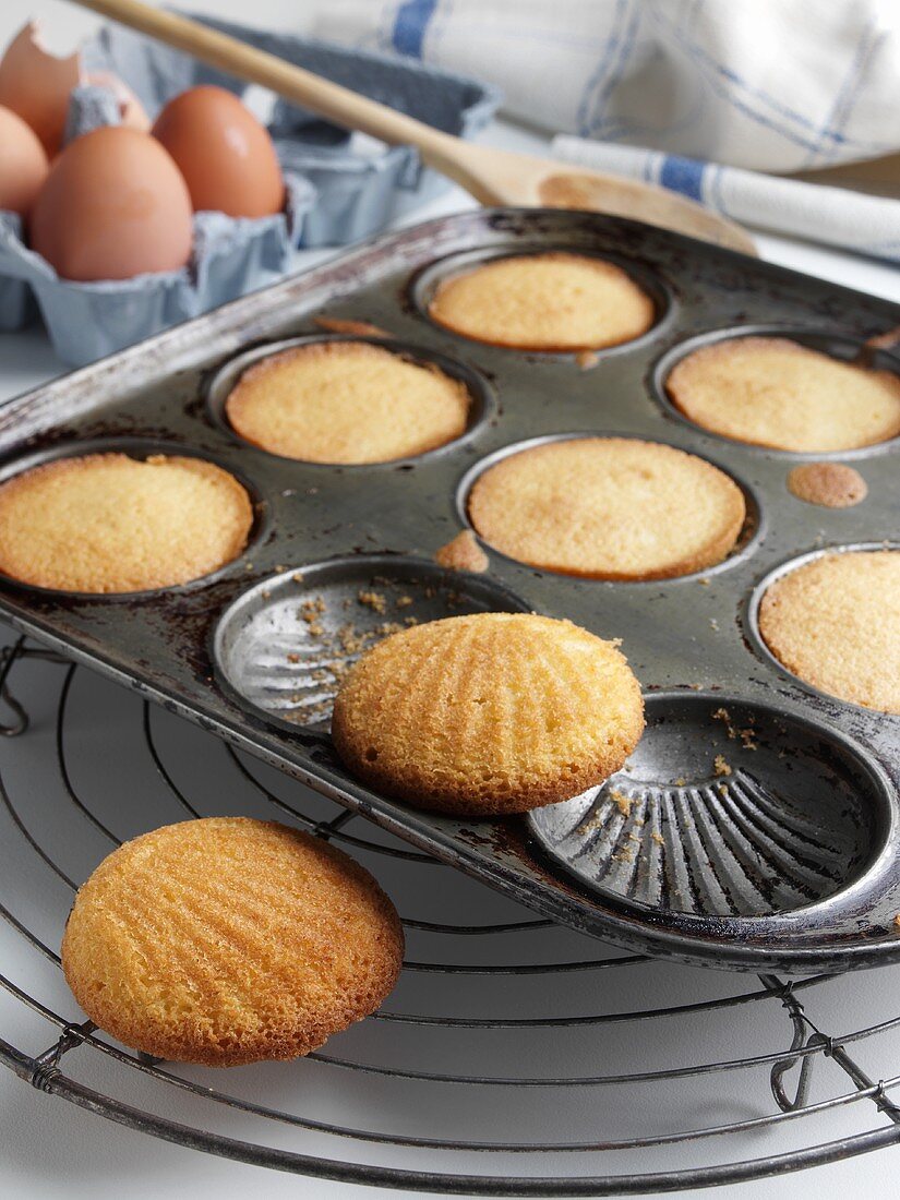 Madeleines in Baking Pan; Cooling Rack