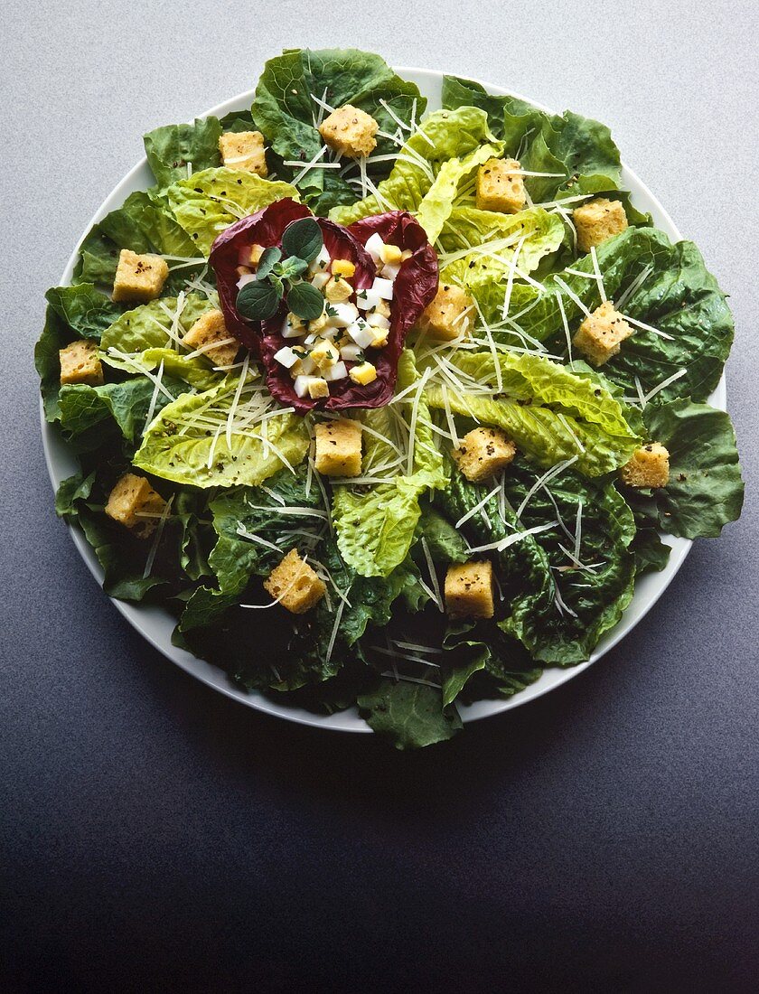 Gemischter Blattsalat Mit Sauerampfer — Rezepte Suchen