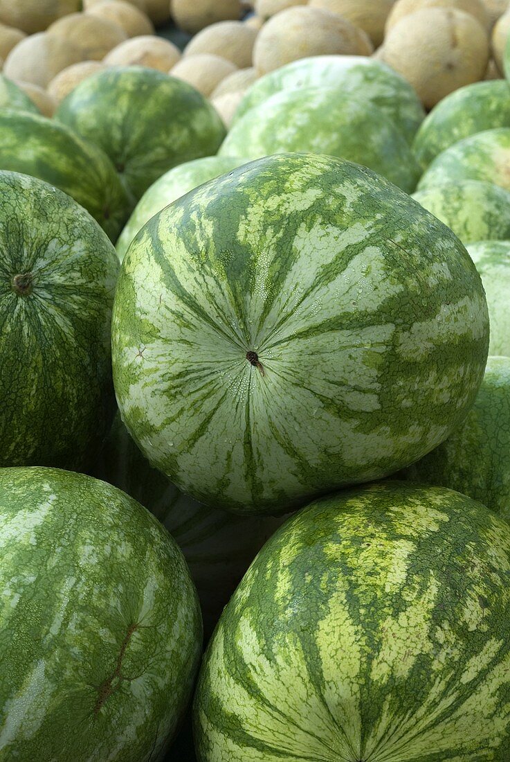 Wassermelonen auf einem Markt