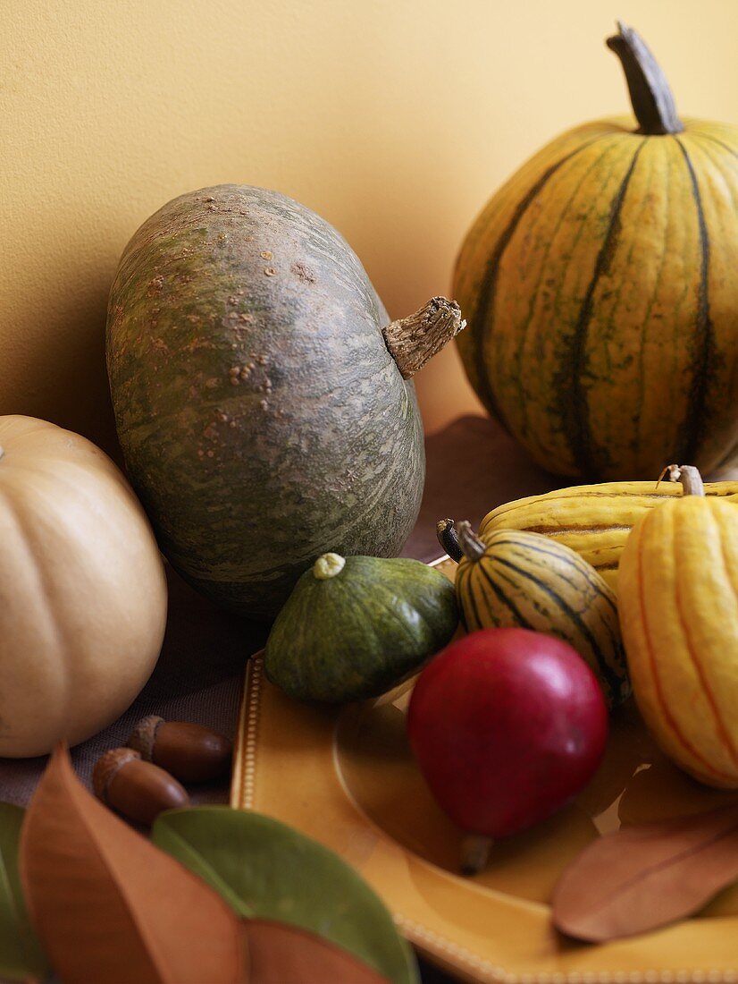 Various Gourds and Squash