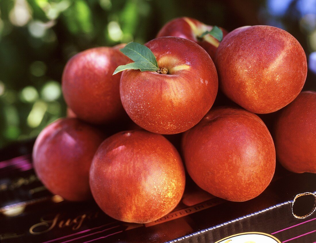 Pile of Fresh Peaches