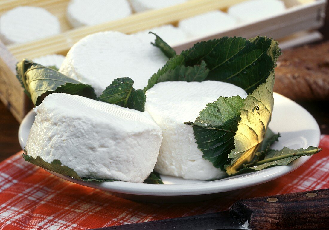 Goat Cheese in Grape Leaves
