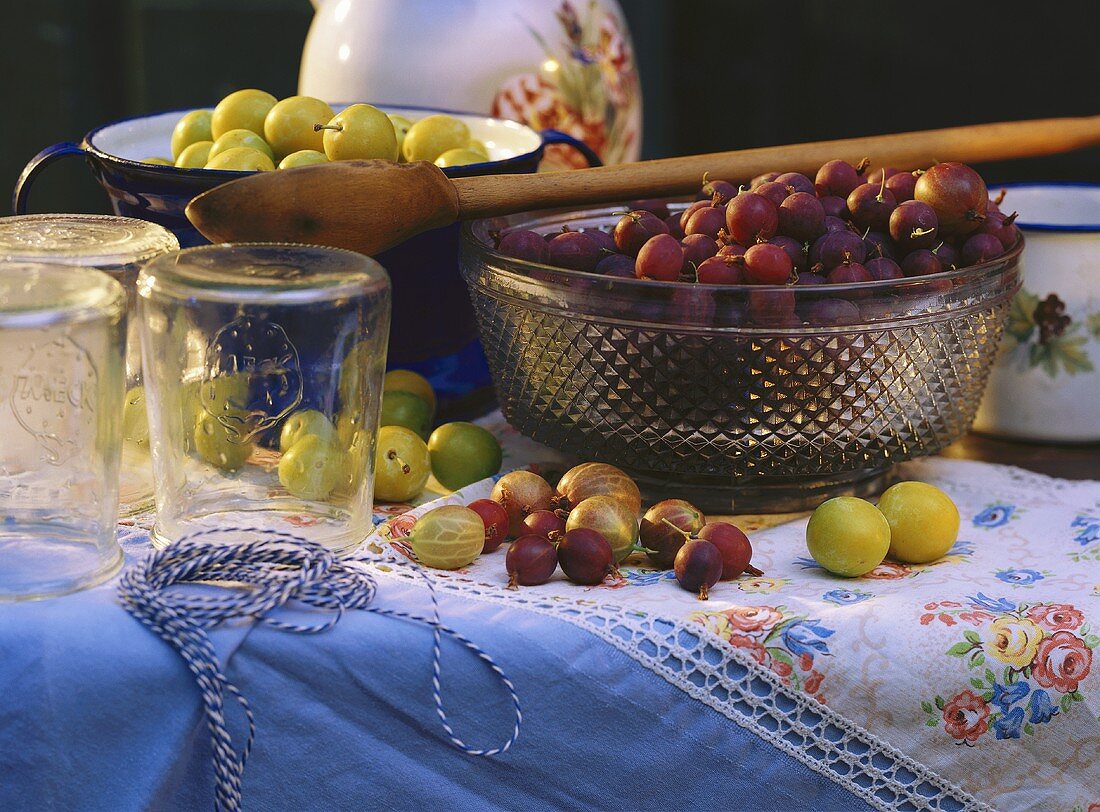 Stachelbeeren & Reineclauden auf Tisch, mit Weckgläsern