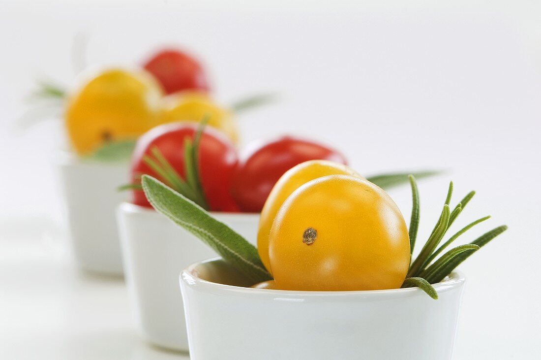 Rote und gelbe Kirschtomaten, Salbei und Rosmarin