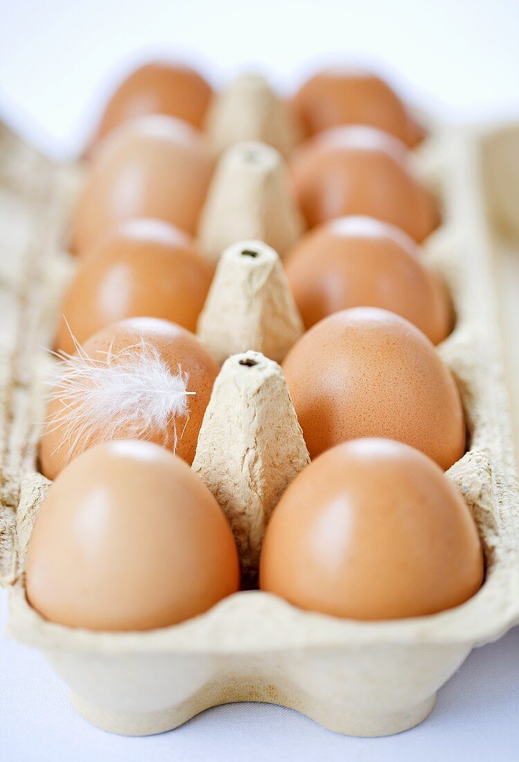 Zehn Eier im Eierkarton