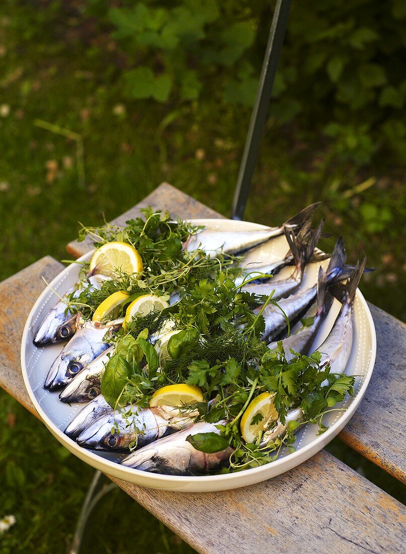 Fresh mackerel with lemon wedges and herbs