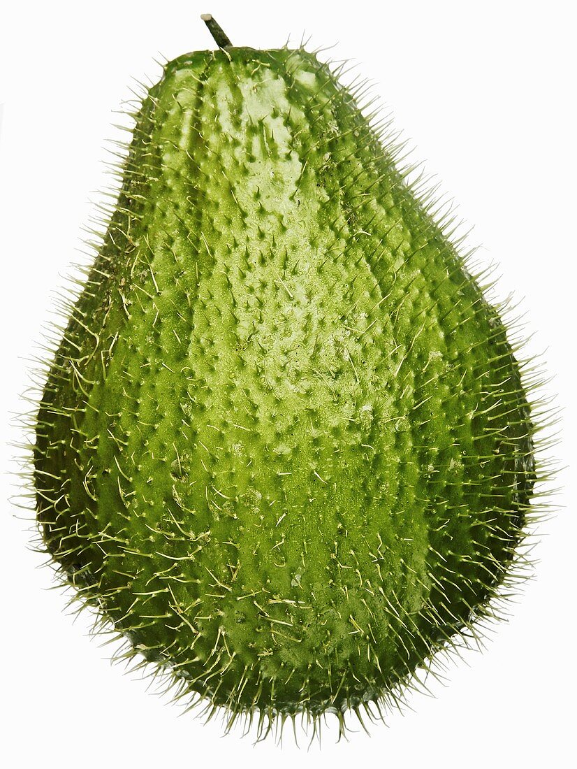 A prickly chayote