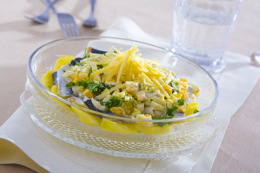 Herring salad with cheese, potatoes, egg and parsley