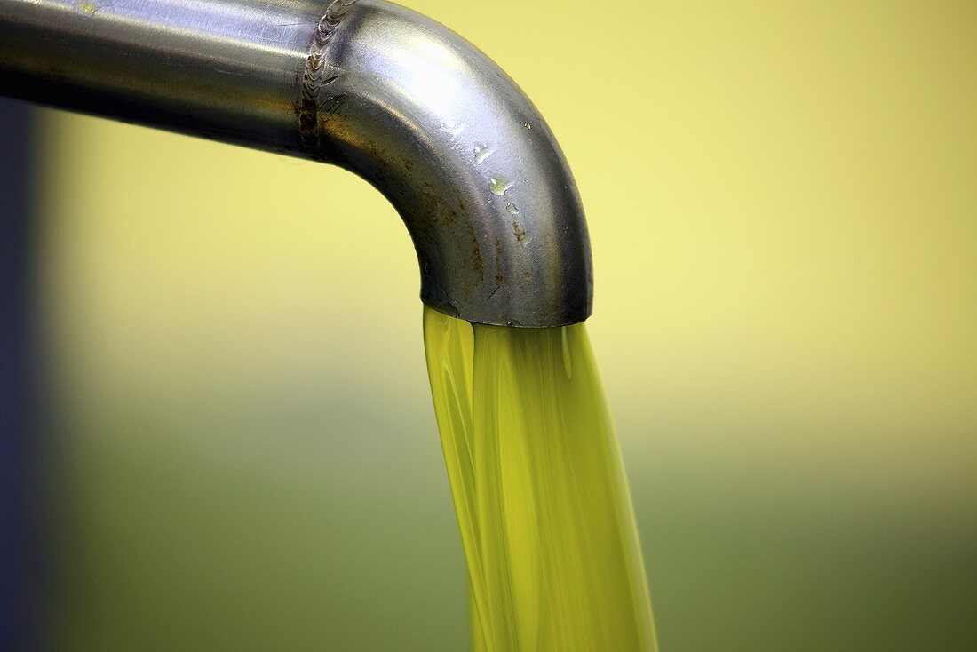 Fresh, cold-pressed olive oil, Perugia, Umbria, Italy