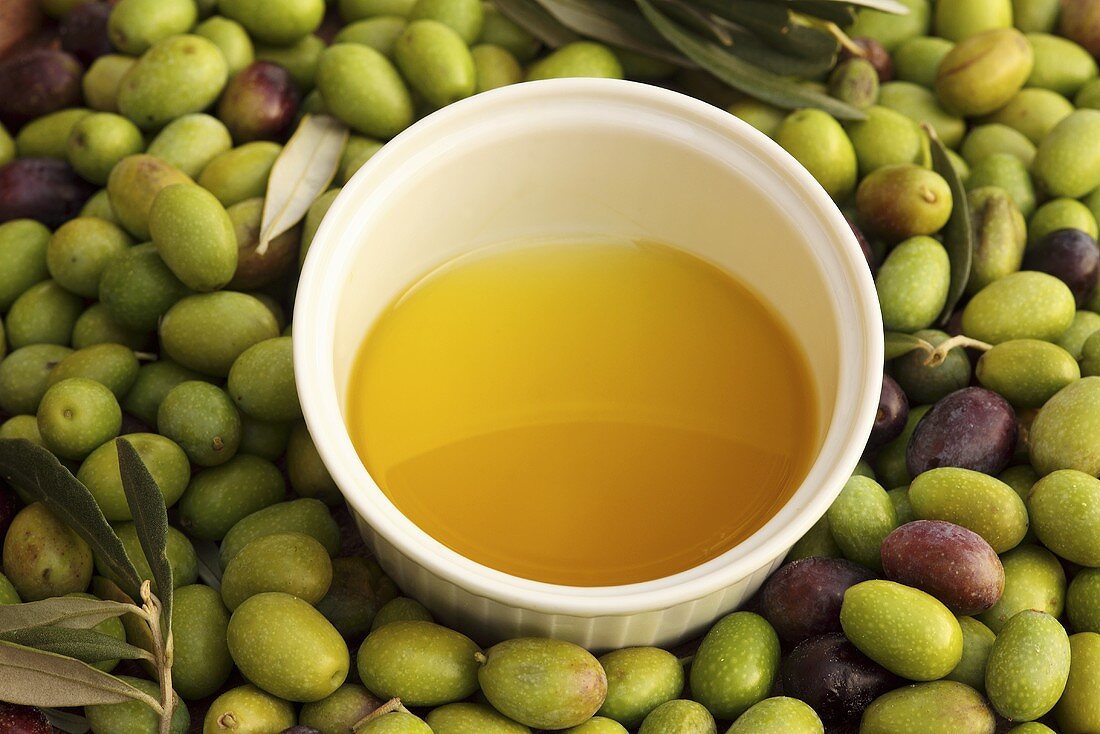 Kaltgepresstes Olivenöl im Schälchen und Oliven, Perugia, Umbrien, Italien