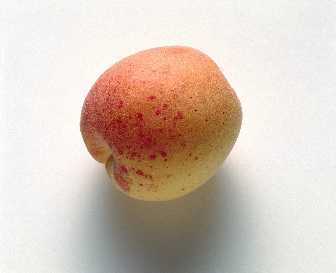 An Apricot