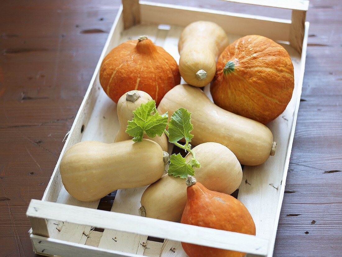 Various squashes in a crate