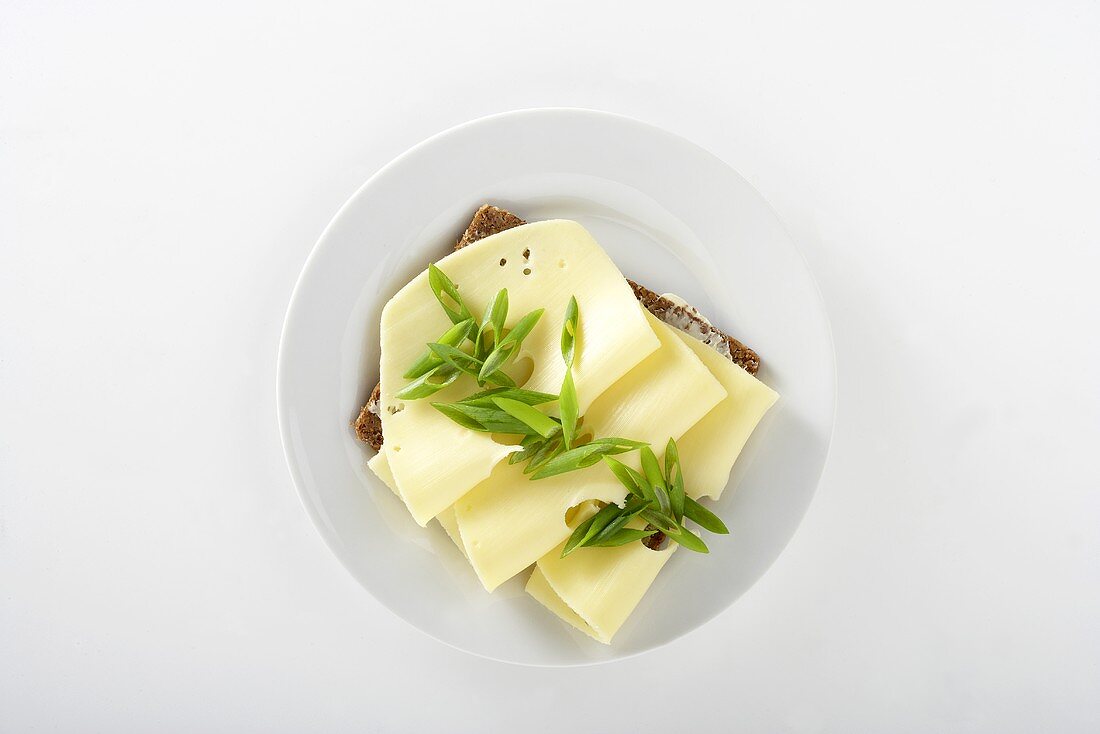 A slice of bread topped with cheese and spring onions