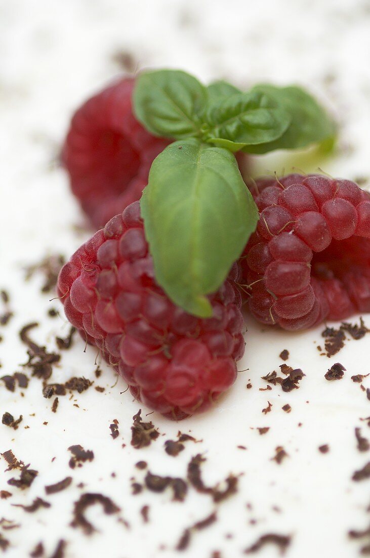 Fresh raspberries garnishing a cake (close-up)