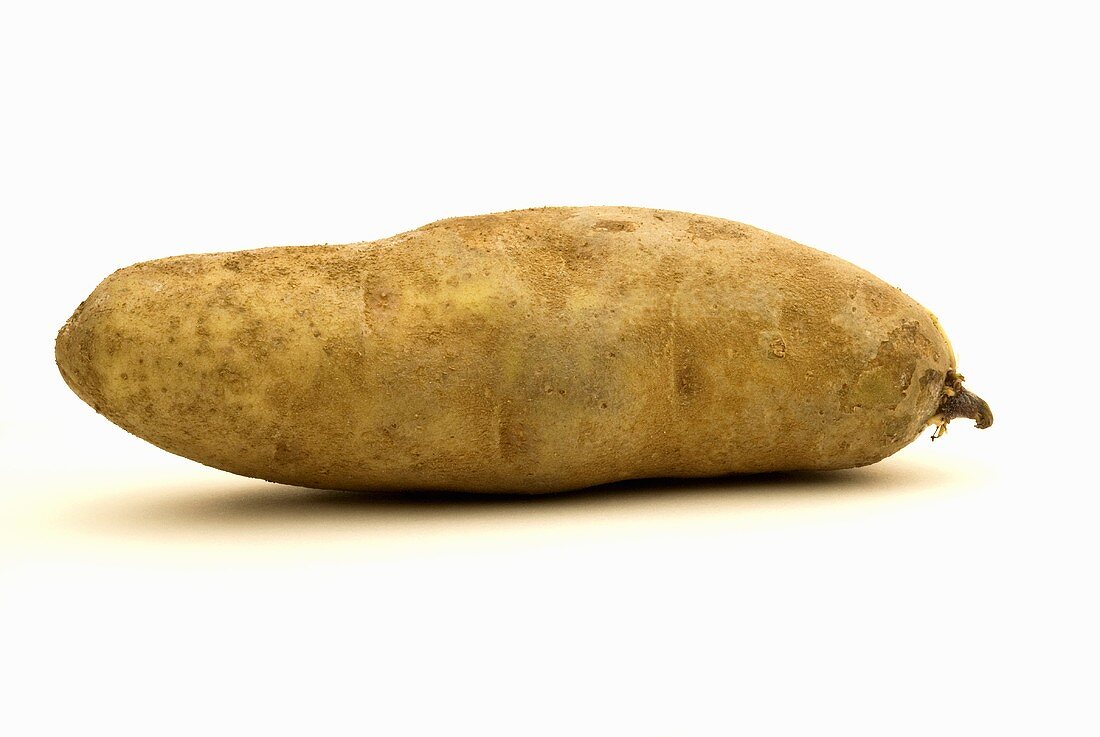 One Idaho Potato on White Background
