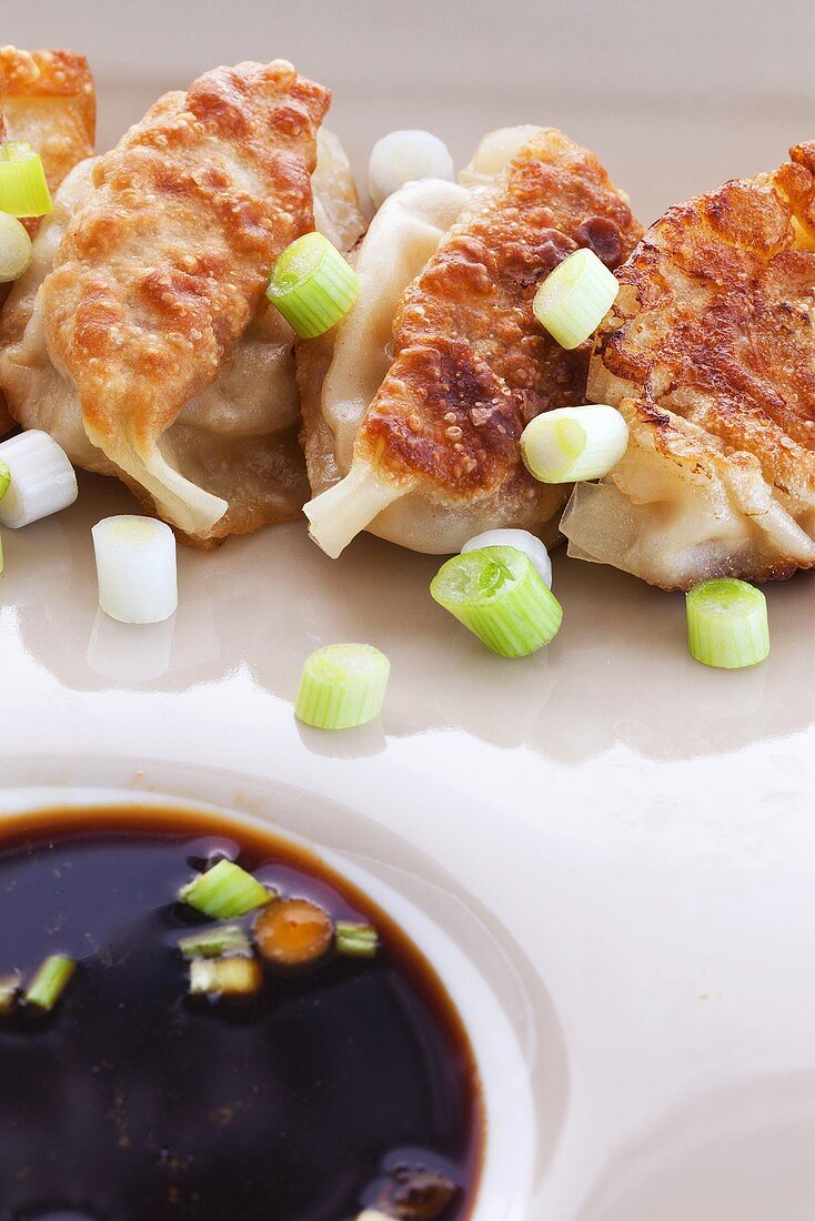 Shrimp Potstickers with Green Onion and Ponzu Dipping Sauce