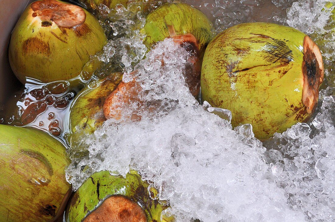 Kokosnüsse im Wasser