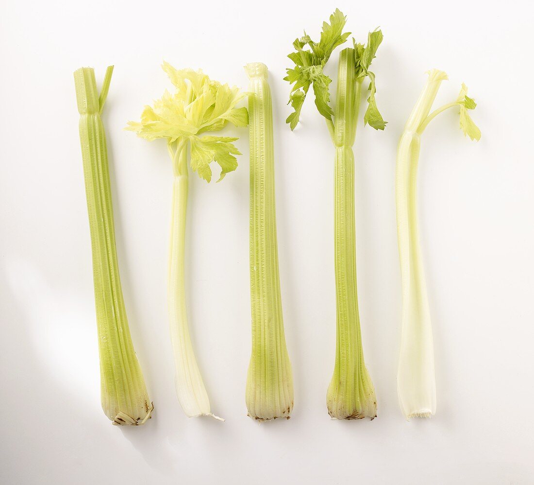 Celery