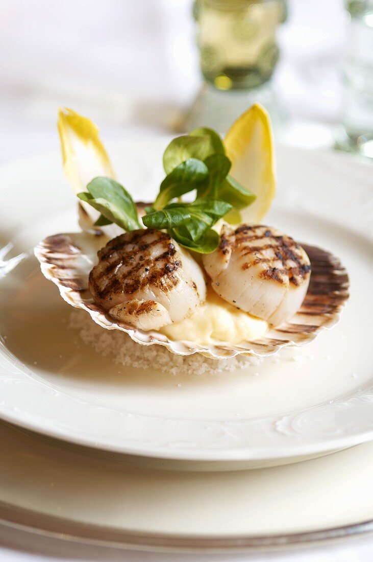 Grilled scallops served in their shells