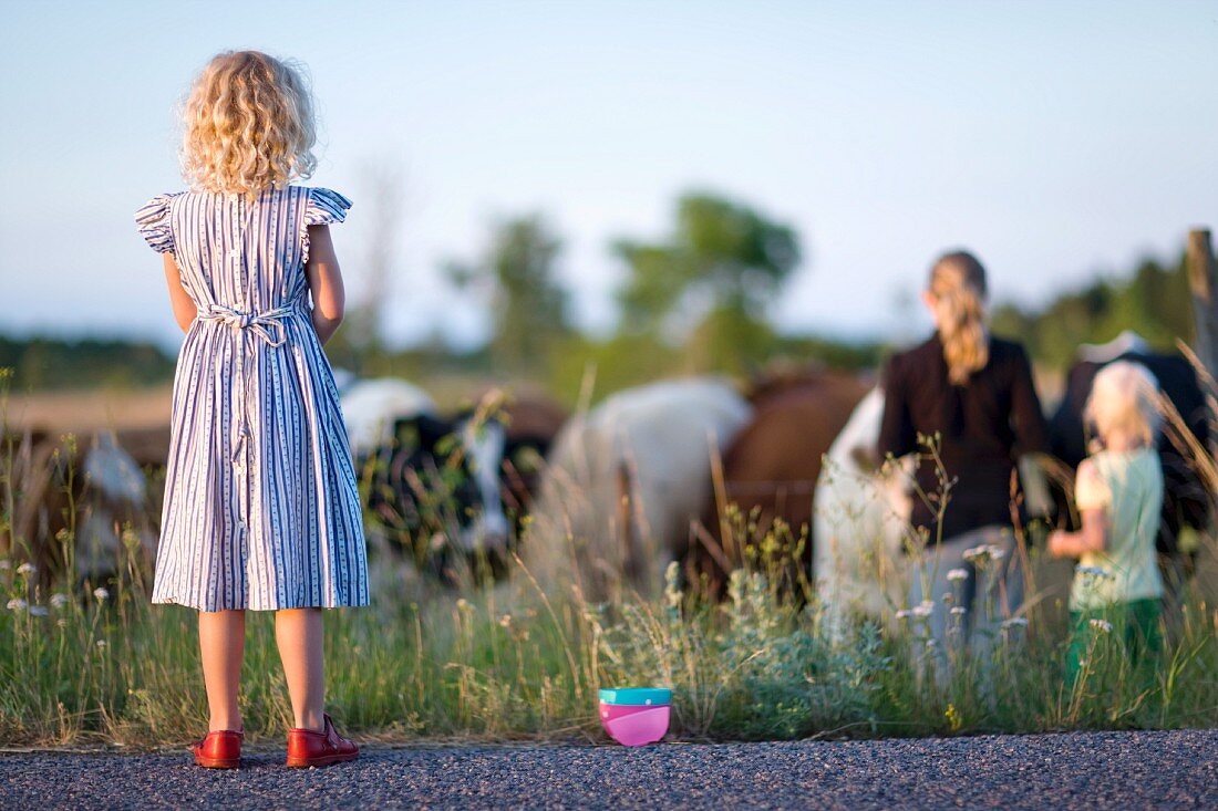 Drei Mädchen schauen Kühen auf der Weide zu