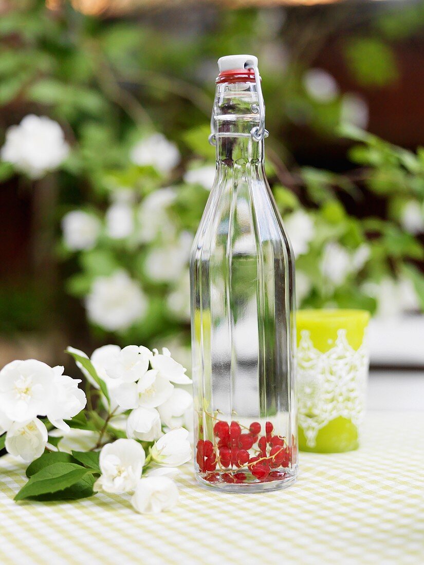 Wasserflasche mit roten Johannisbeeren auf Gartentisch