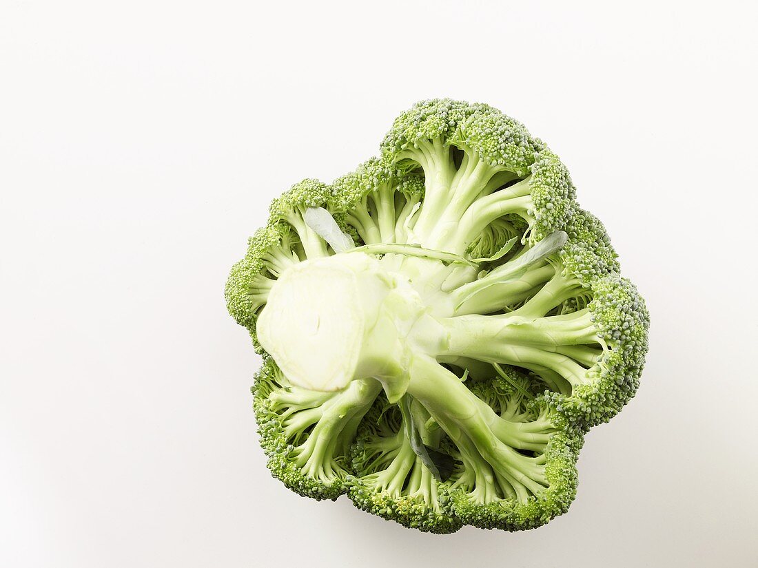 Underside of broccoli