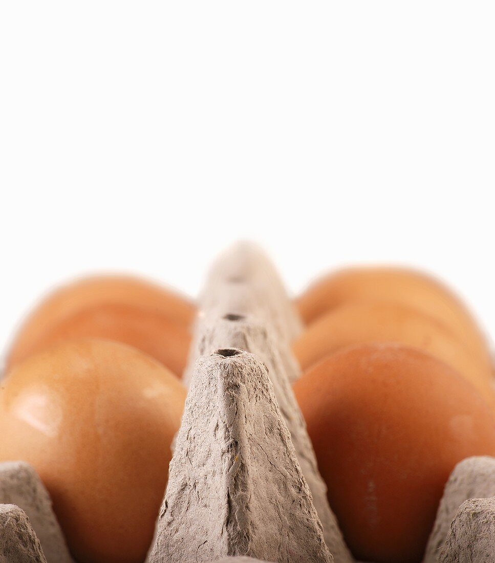 Braune Eier in Eierkarton (Nahaufnahme)