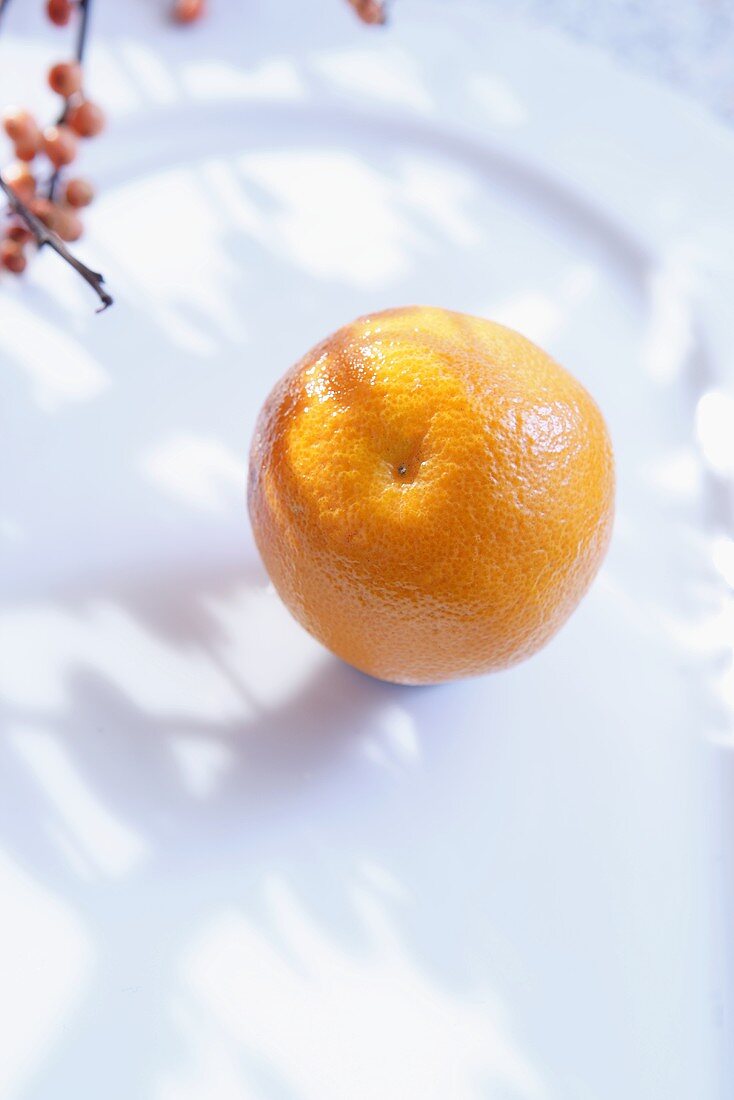 An orange