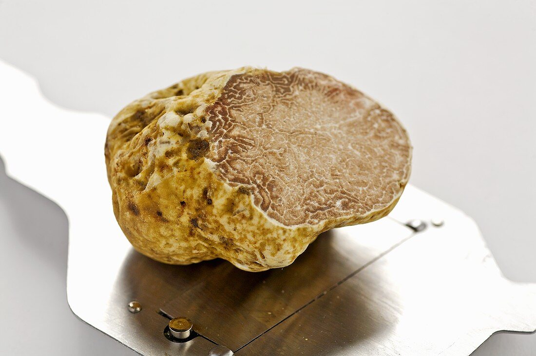 White truffle mushroom and a truffle slicer