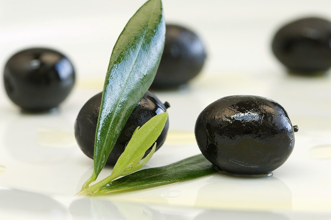 Schwarze Oliven mit Blättern (Nahaufnahme)