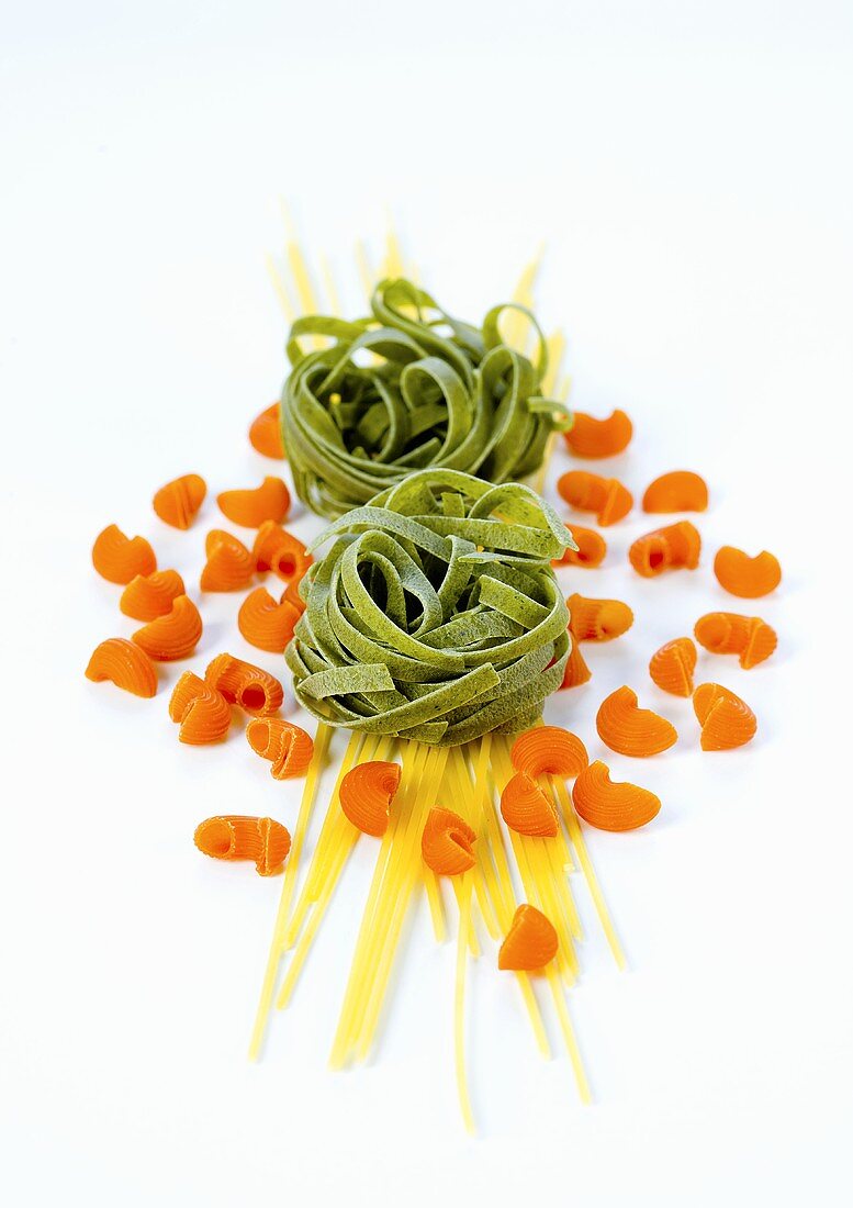 Spaghetti, grüne Tagliatelle und Pipe Rigate