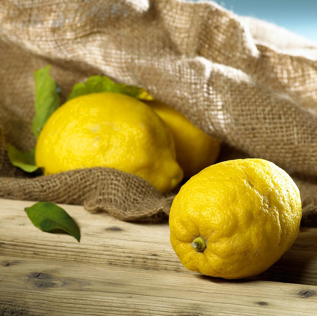 Lemons with a hessian sack