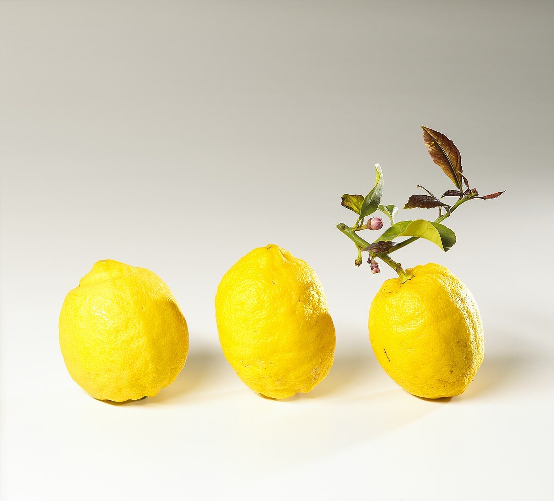 Three lemons, one with a stalk and leaves