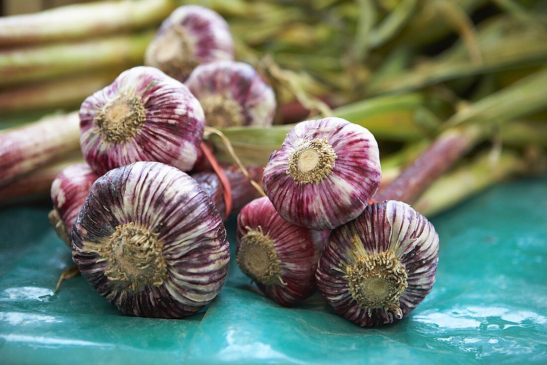 Fresh garlic at a market