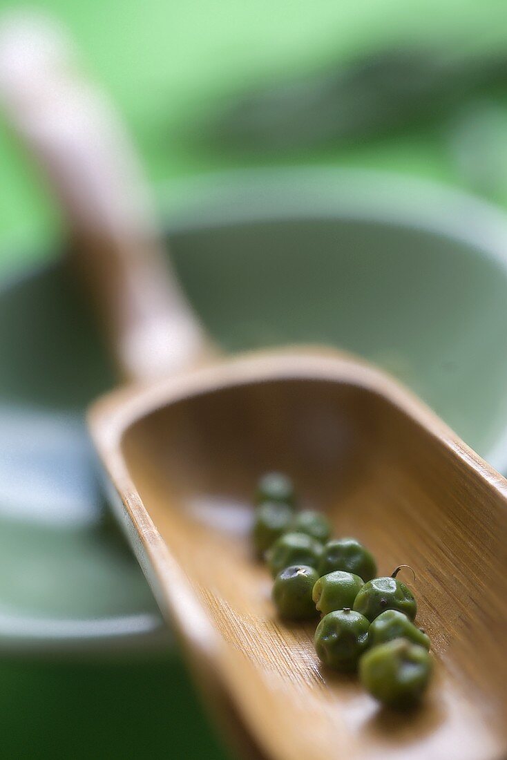 Green peppercorns in a wooden scoop