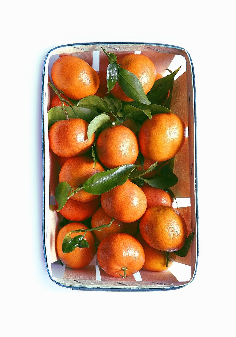 Mandarinen mit Blättern im Spankorb (Draufsicht)