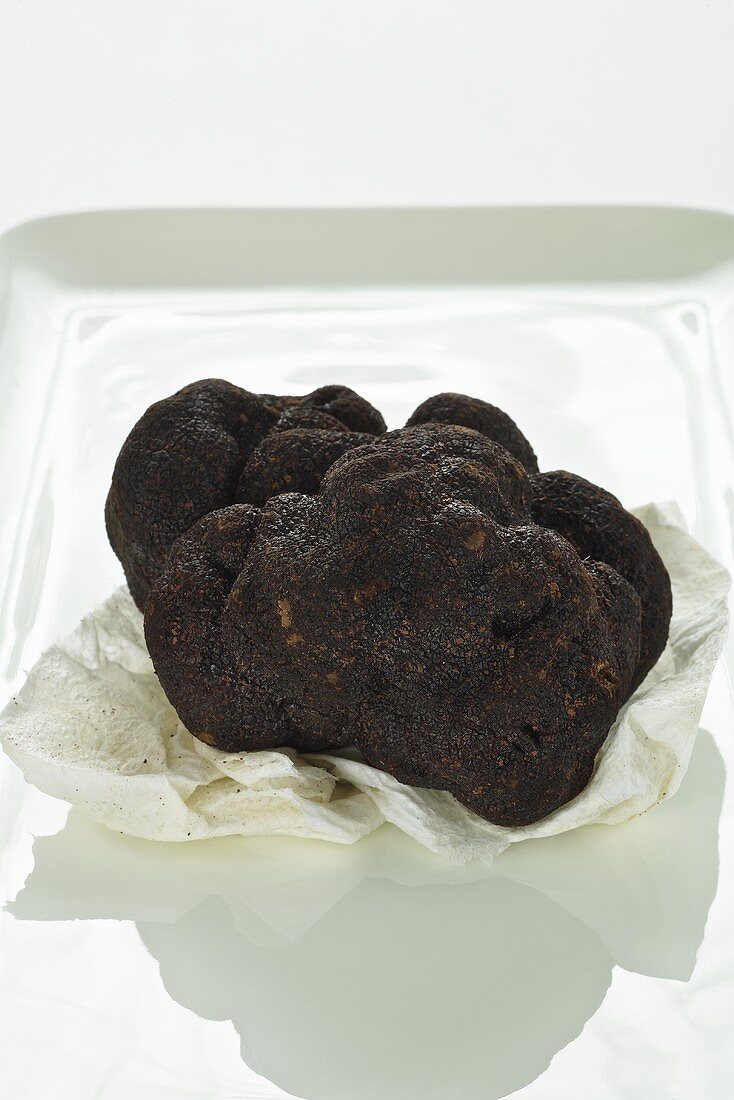 A Perigord truffle on paper