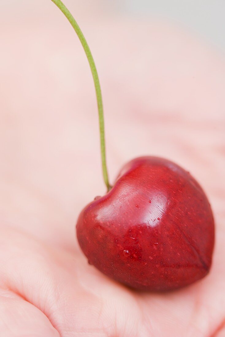 A cherry on a hand (close-up)