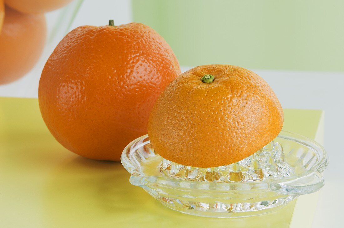 Oranges with citrus squeezer
