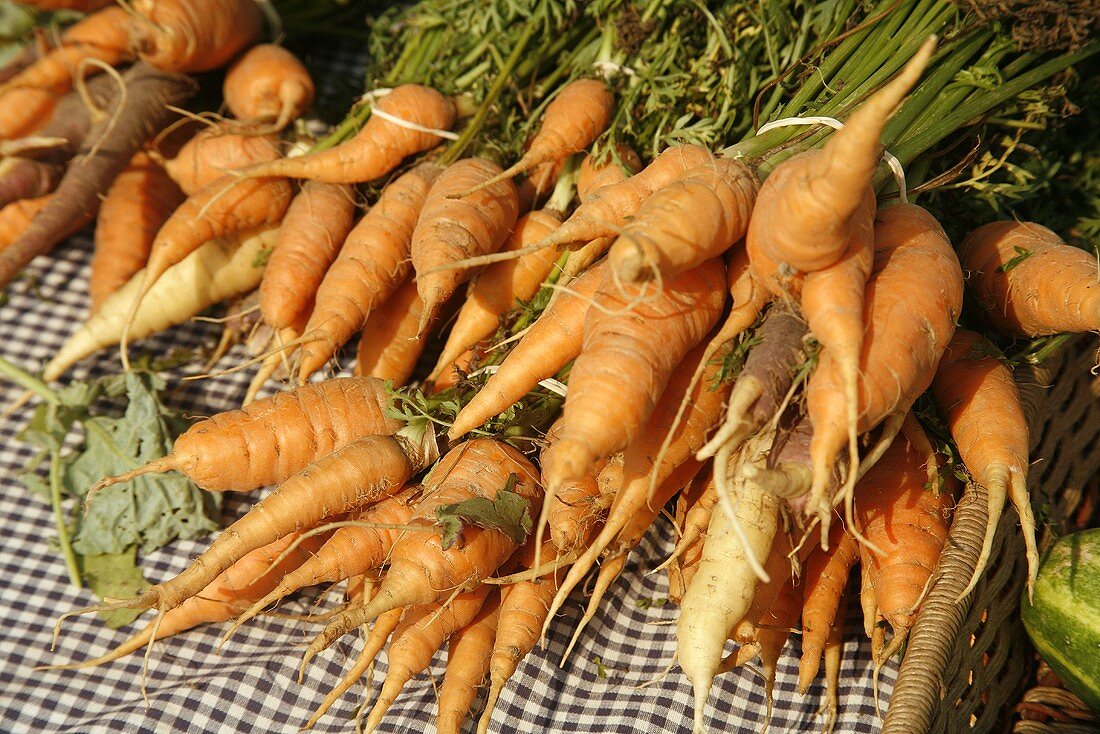Organic Carrots at Farmer's Market